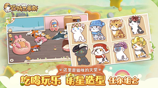 猫特兰蒂斯.jpg