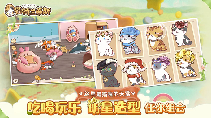 猫特兰蒂斯.jpg