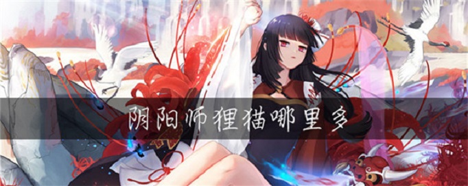 阴阳师狸猫在哪打