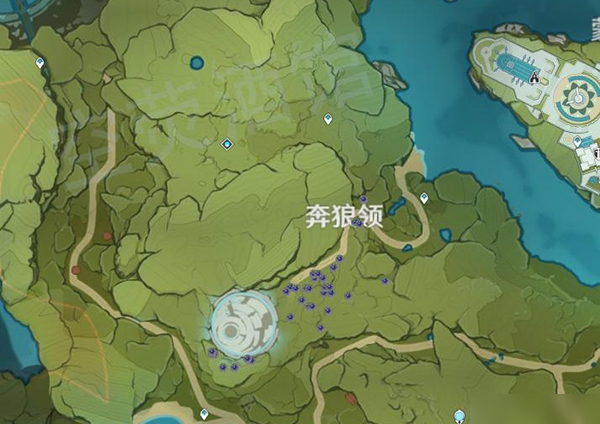 原神钩钩果采集地点