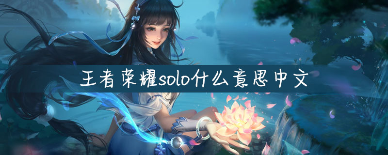 王者荣耀solo什么意思中文