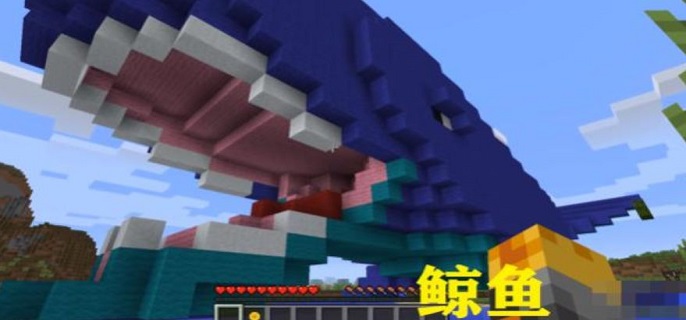 我的世界鲸鱼怎么样