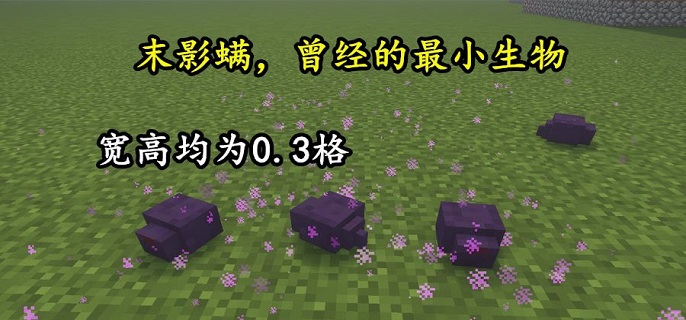 我的世界末影螨怎么样