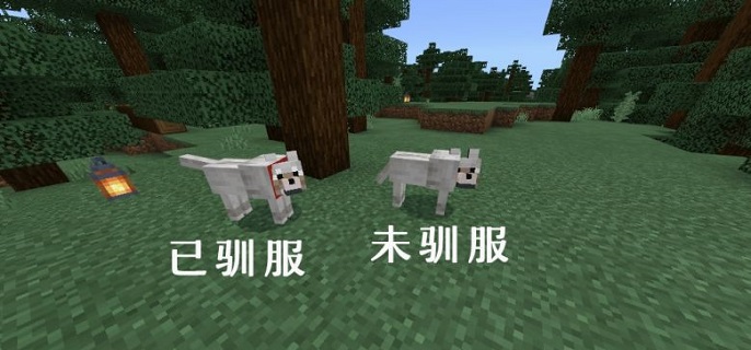 我的世界狼怎么驯服