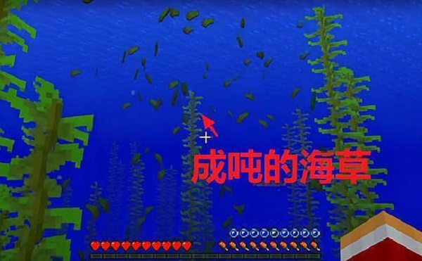 我的世界海带有什么用