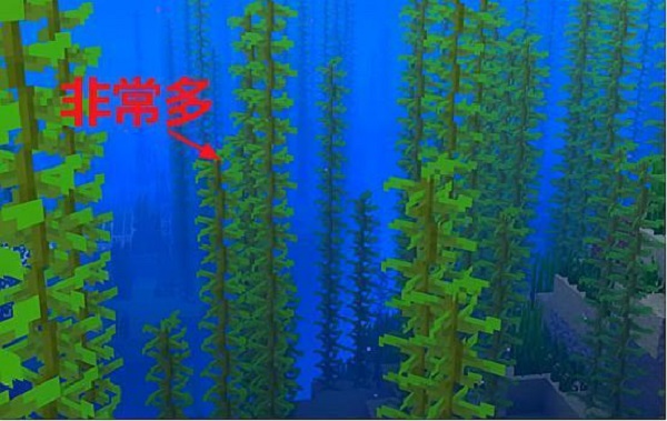 我的世界海带有什么用