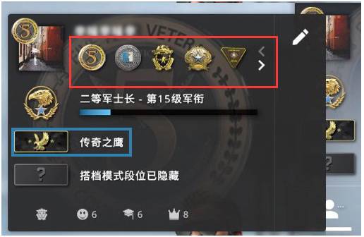 csgo胸章佩戴效果是什么