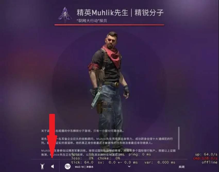 csgo怎么让探员说中文