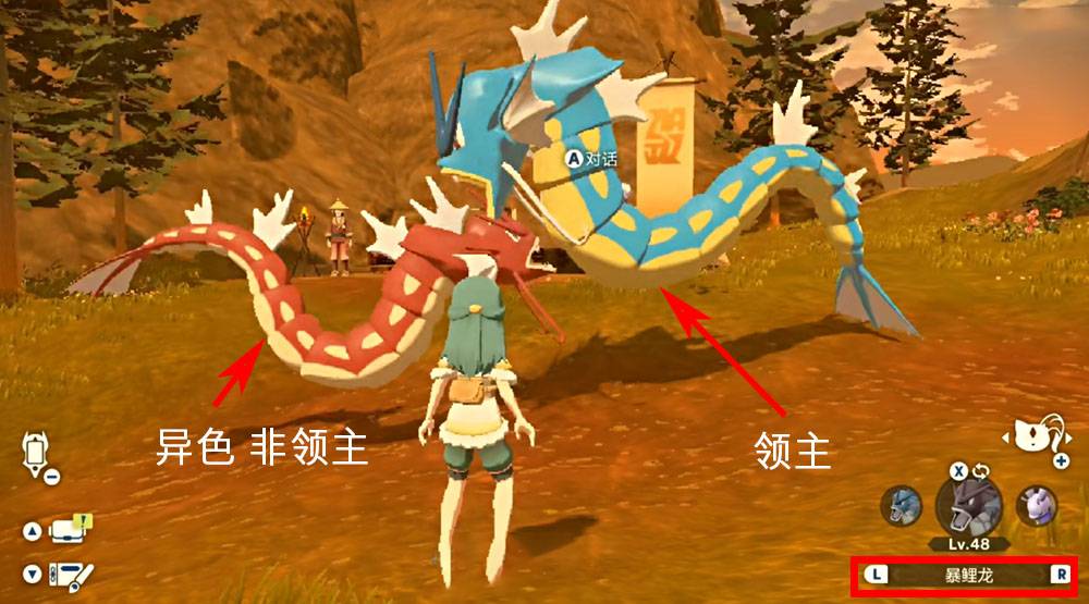 宝可梦阿尔宙斯传说领主和普通的区别是什么