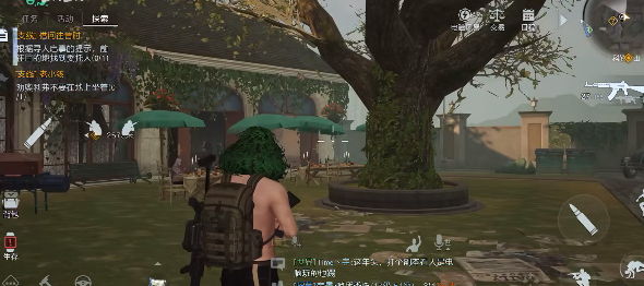 黎明觉醒金盏花庭院寻人启事在哪