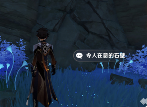 原神调查石壁上的灌木任务怎么做