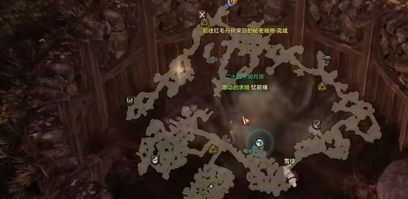 命运方舟红毛丹树果园的秘密怎么做