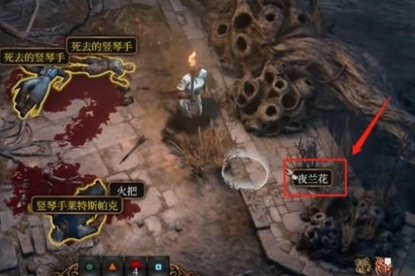 博德之门3夜兰花怎么使用