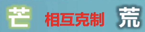 原神芒荒机制是什么
