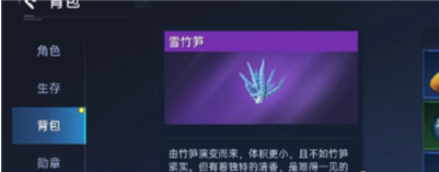 星球重启竹笋煲怎么做