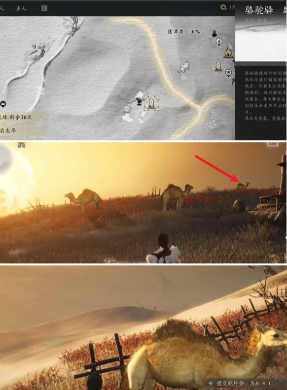 燕云十六声骆驼铃铛任务怎么做